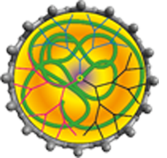 Adronov Research Group